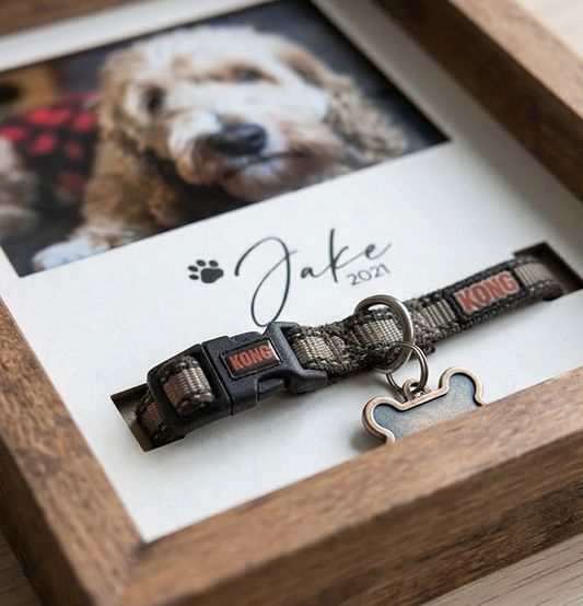 Dog collar in a frame with a photo of a dog named Jake.